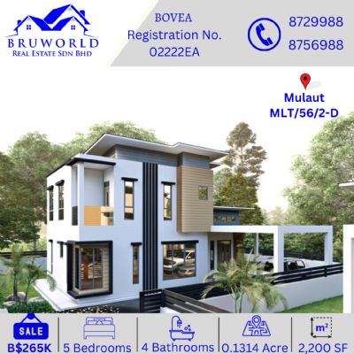 MLT/56/2-D